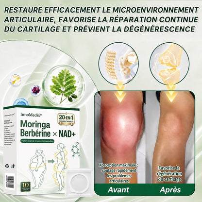 InnoMedix® Moringa Berbérine x NAD+ 20-IN-1 Patch Avancé à Nano-Microaiguilles 🏆