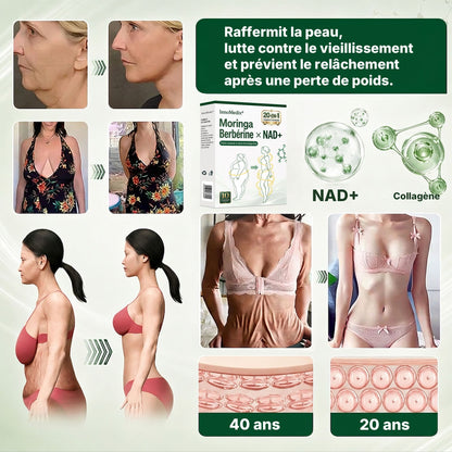 InnoMedix® Moringa Berbérine x NAD+ 20-IN-1 Patch Avancé à Nano-Microaiguilles 🏆